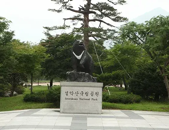 설악산 권금성 케이블카 운행시간