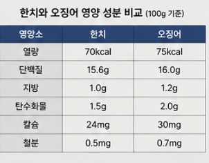 한치와 오징어 차이