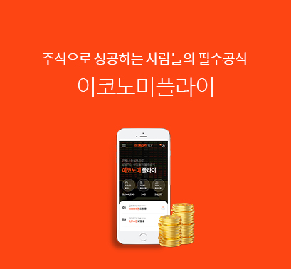 이코노미플라이