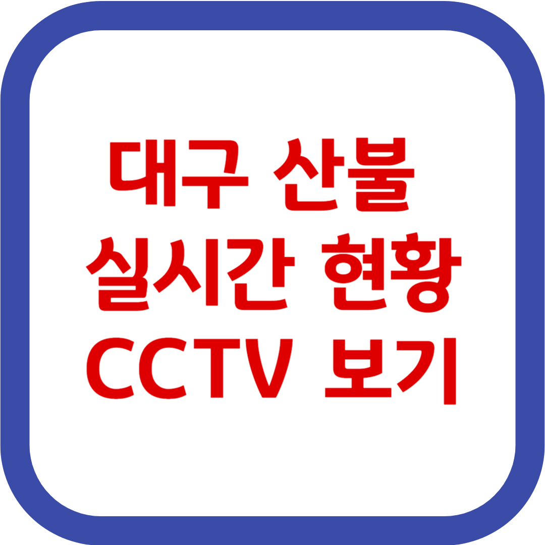 대구 산불 상황 실시간 CCTV