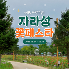 자라섬꽃축제할인