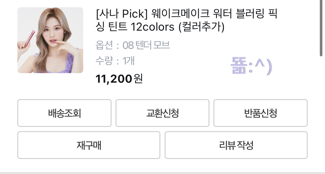 웨이크메이크 워터 블러링 픽싱 틴트 텐더모브