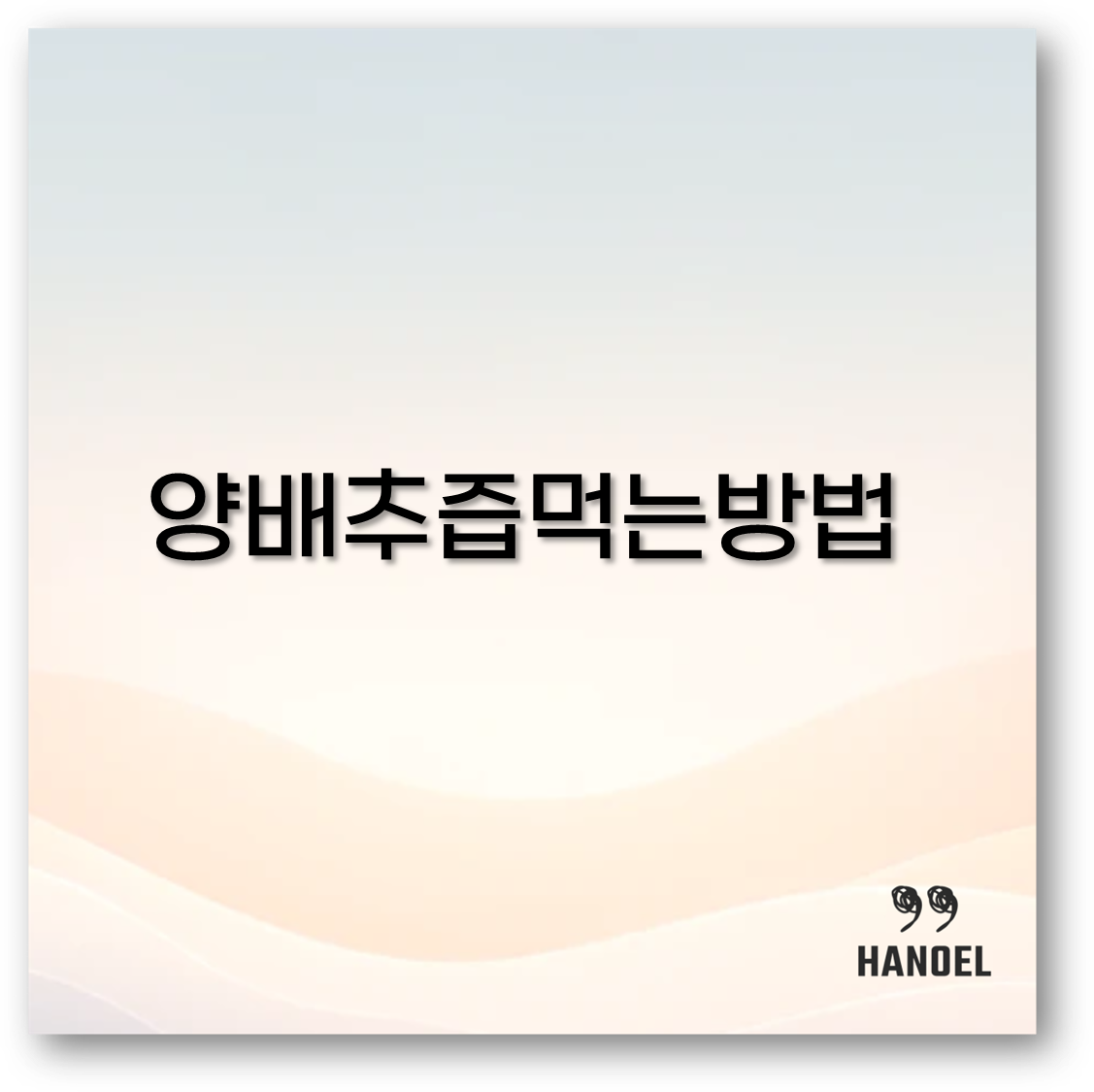 위궤양에 좋은 양배추즙 먹는 방법부터 양배추쌈 활용법까지 꼭 알고 가세요