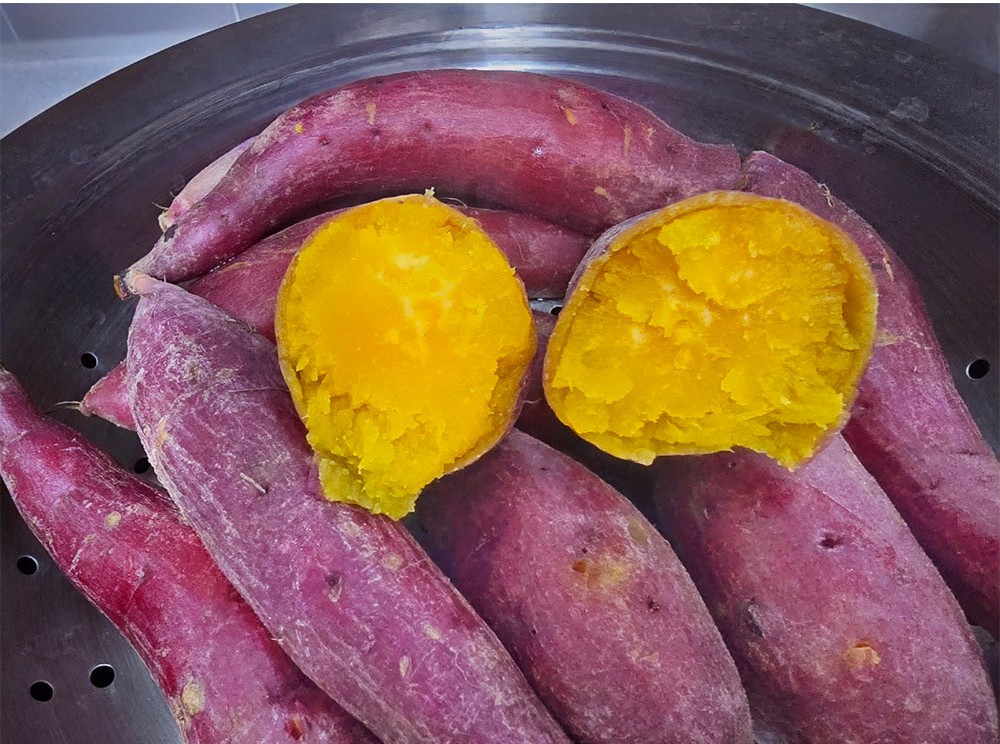 요즘 먹고 있는 강화 속 노랑고구마