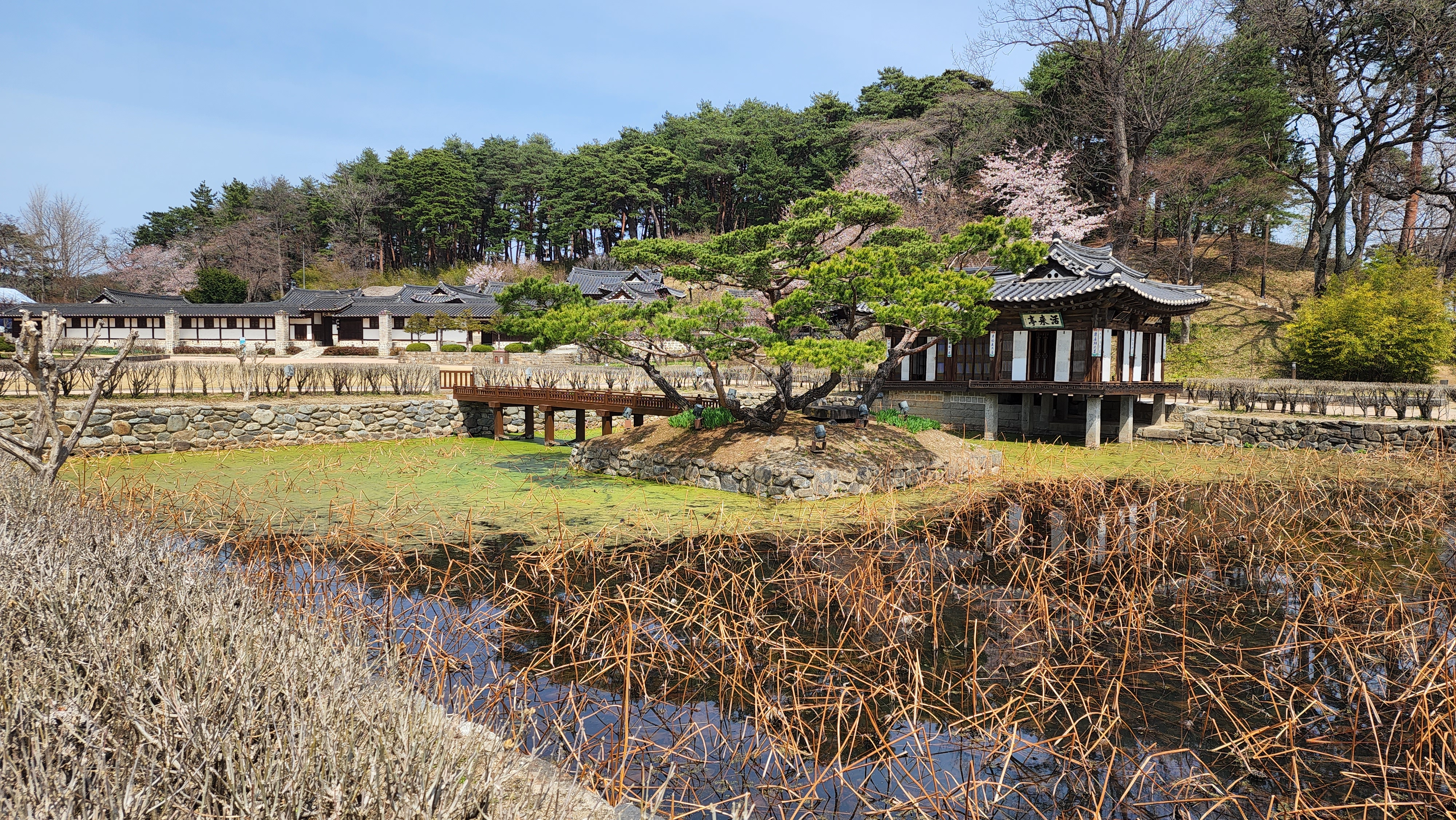 강릉 가볼만한곳 베스트10 강릉십경
