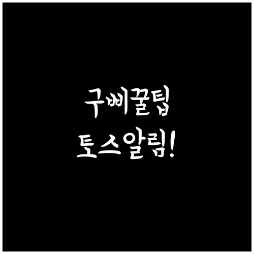 국민비서 구삐 토스 등록부터 알림 받..