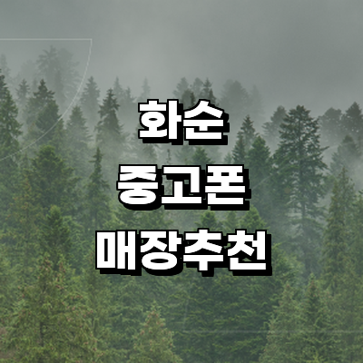 화순군 중고폰