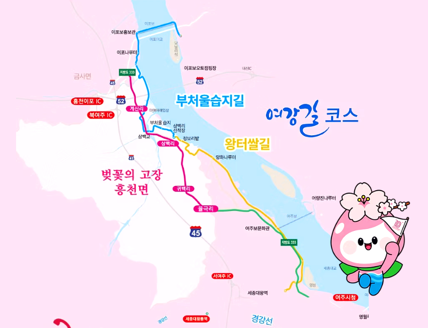 여주 흥천 남한강 벚꽃축제