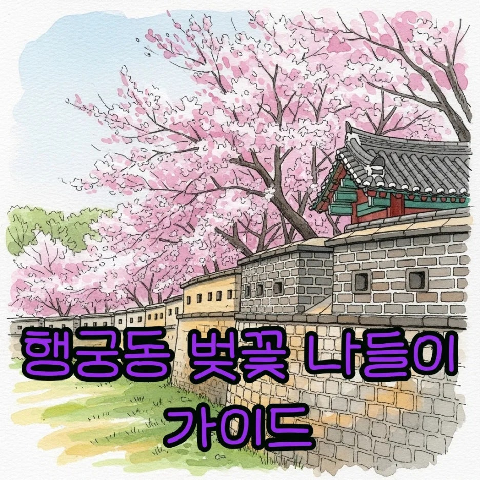 성곽을 따라 활짝 피어난 분홍빛 벚꽃 풍경