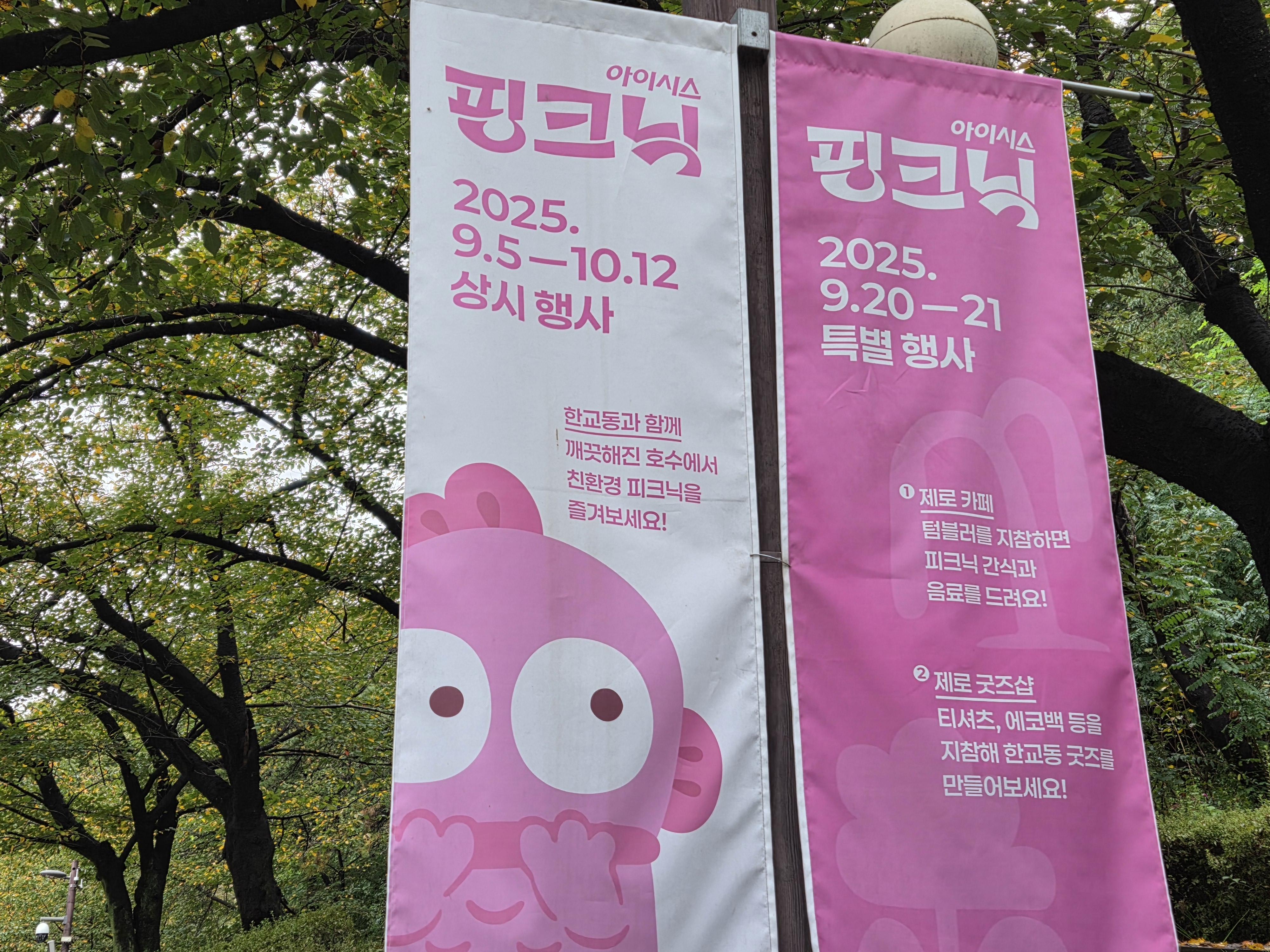 핑크닉 행사