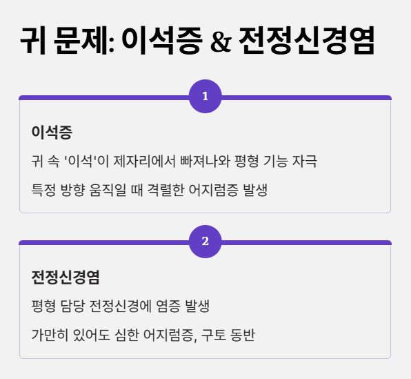 귀 문제: 이석증 & 전정신경염