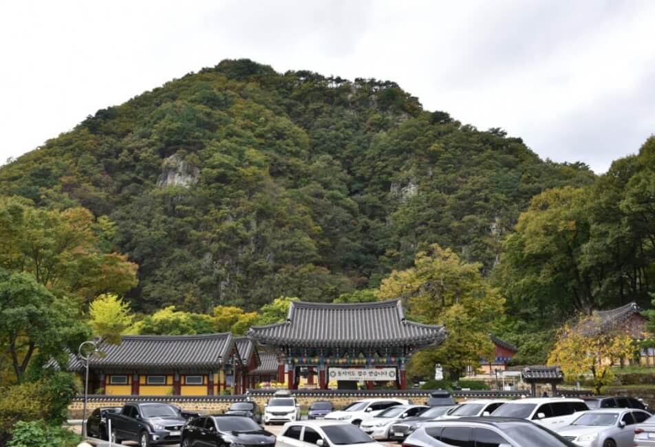 포항 오어사 : 원효와 혜공이 물고기를 대변으로 내보내고 거슬러 올라가는 물고기를 서로 내 물고기라고 하였다는 설화가 있는 사찰