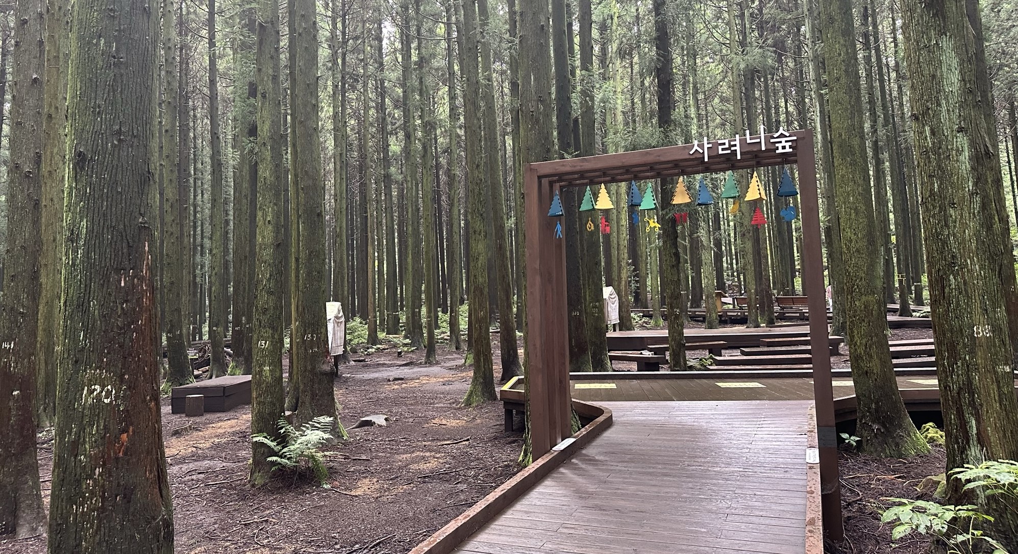 숲길 포토존