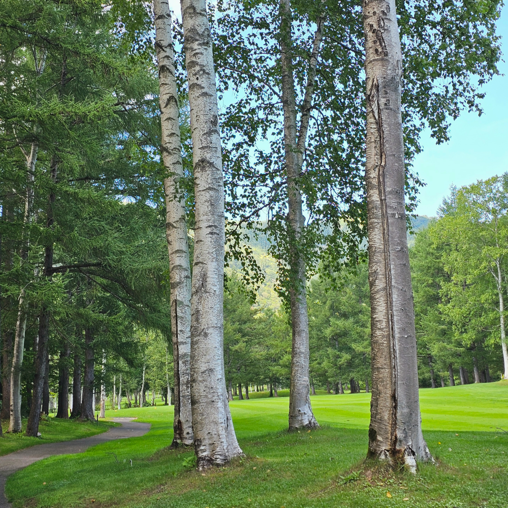 힐튼 니세코 빌리지