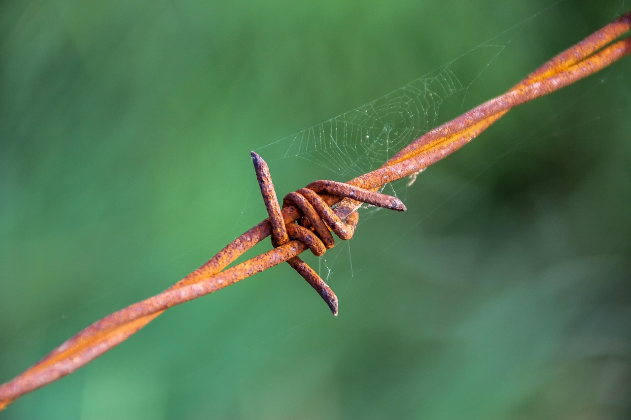 파상풍 원인 녹슨 못에 찔림