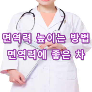 면역력-높이는-방법-면역력에-좋은-차-건강