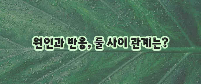 고양이 알레르기 원인 고양이 접촉 반응이 중요합니다