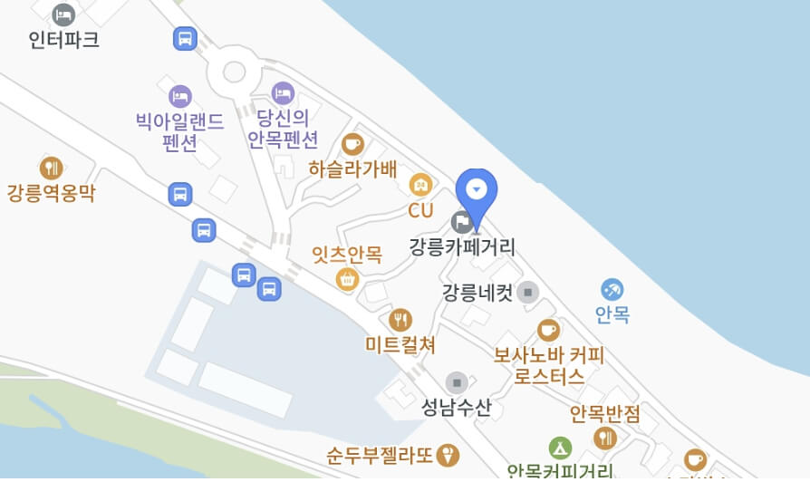 강릉해양레저 펫가족 힐링페스티벌