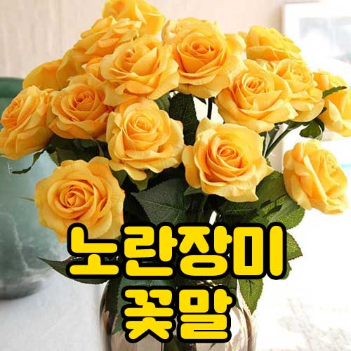 노란장미 꽃말 썸네일
