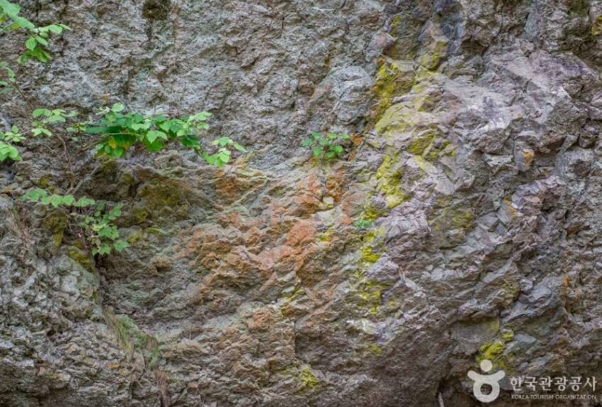 청송 가볼만한곳 베스트 10