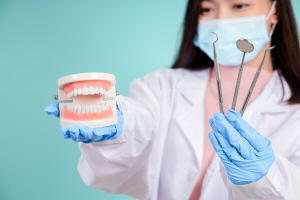 치아 모형을 들고 있는 여자 의사 사진