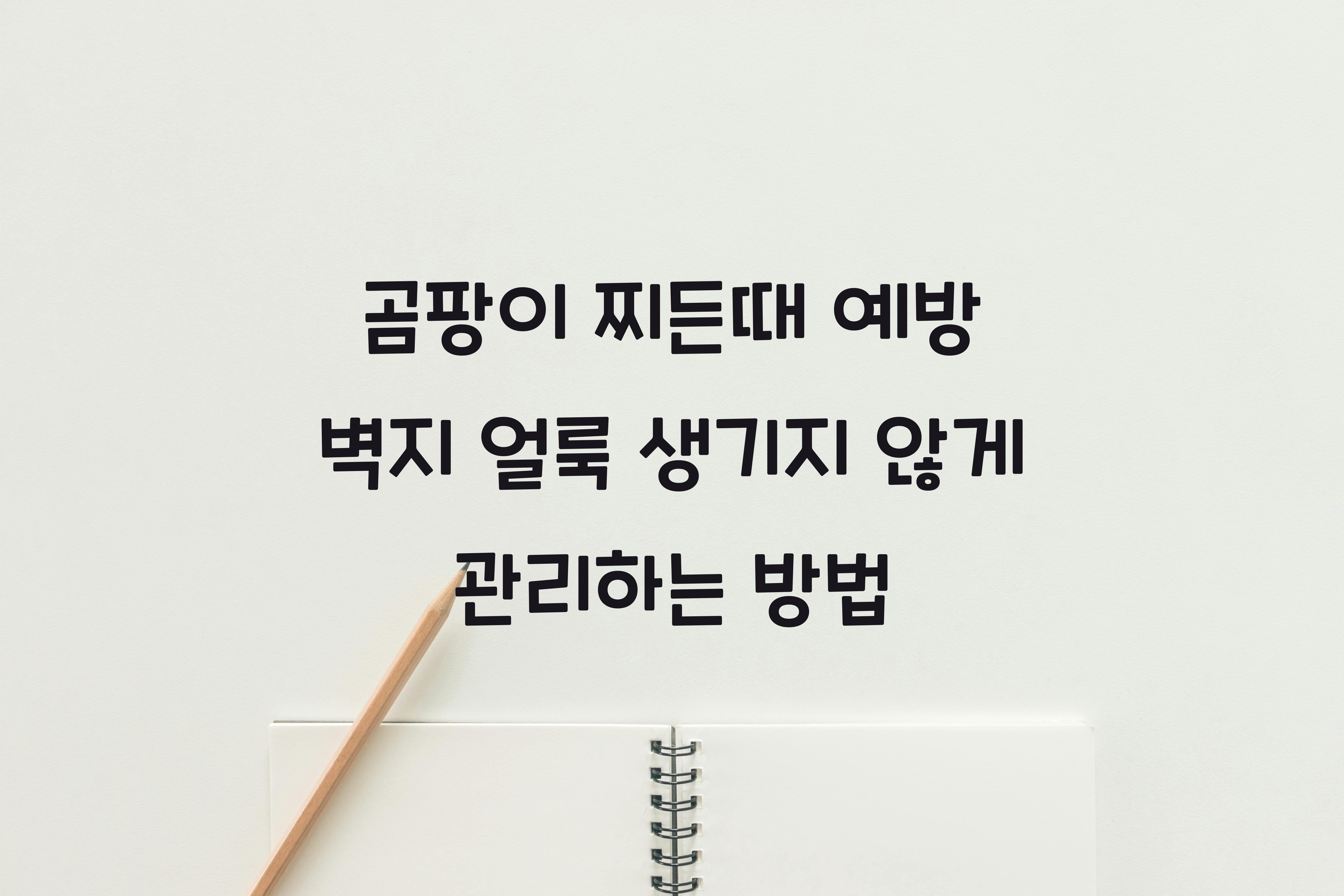 벽지 얼룩 생기지 않게 관리하는 방법