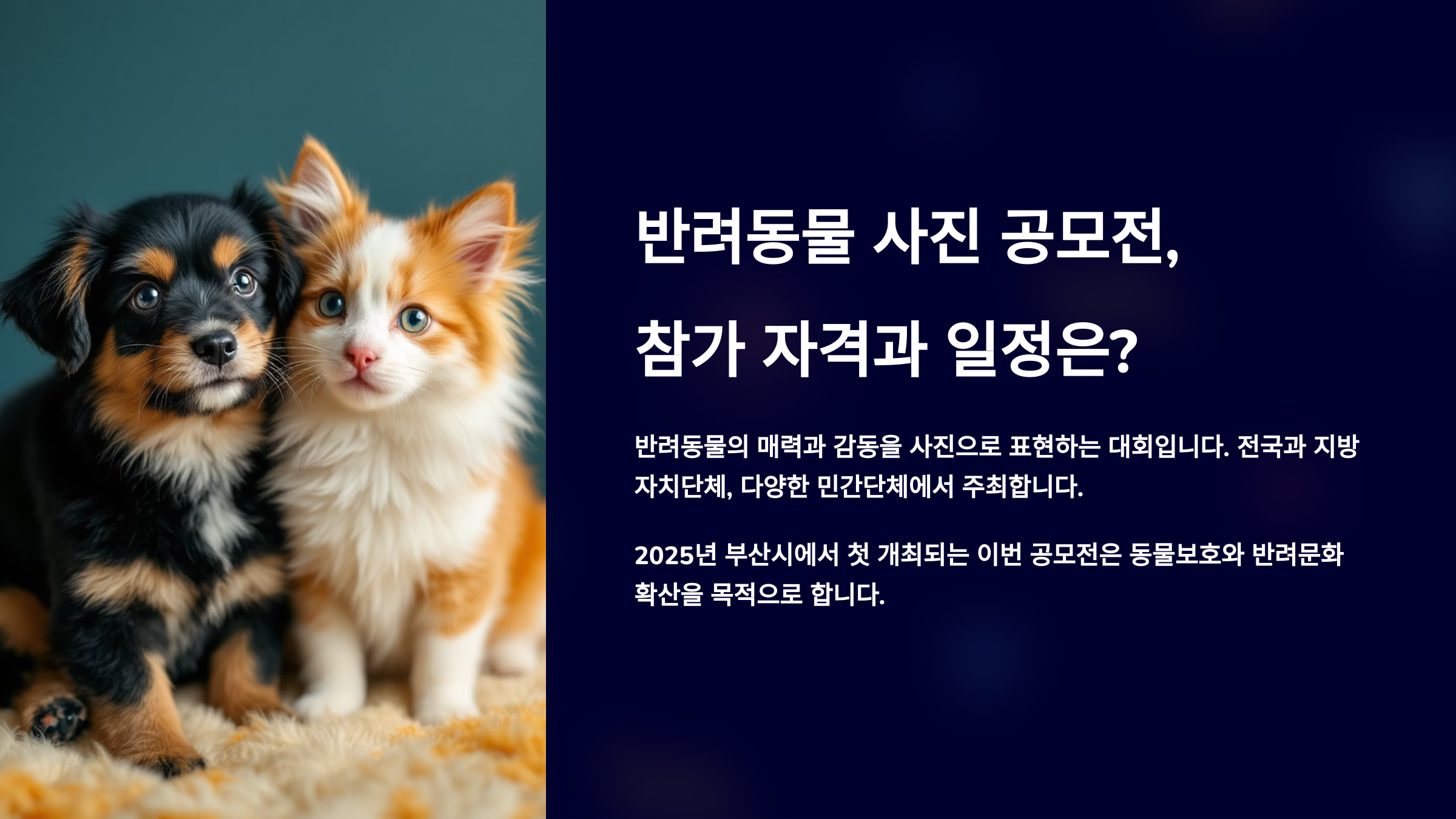 반려동물 사진 공모전, 참가 자격과 일정은?