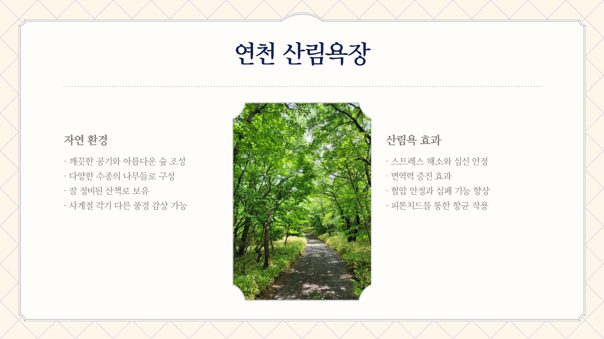 연천에서 꼭 가봐야 할 명소 TOP 7