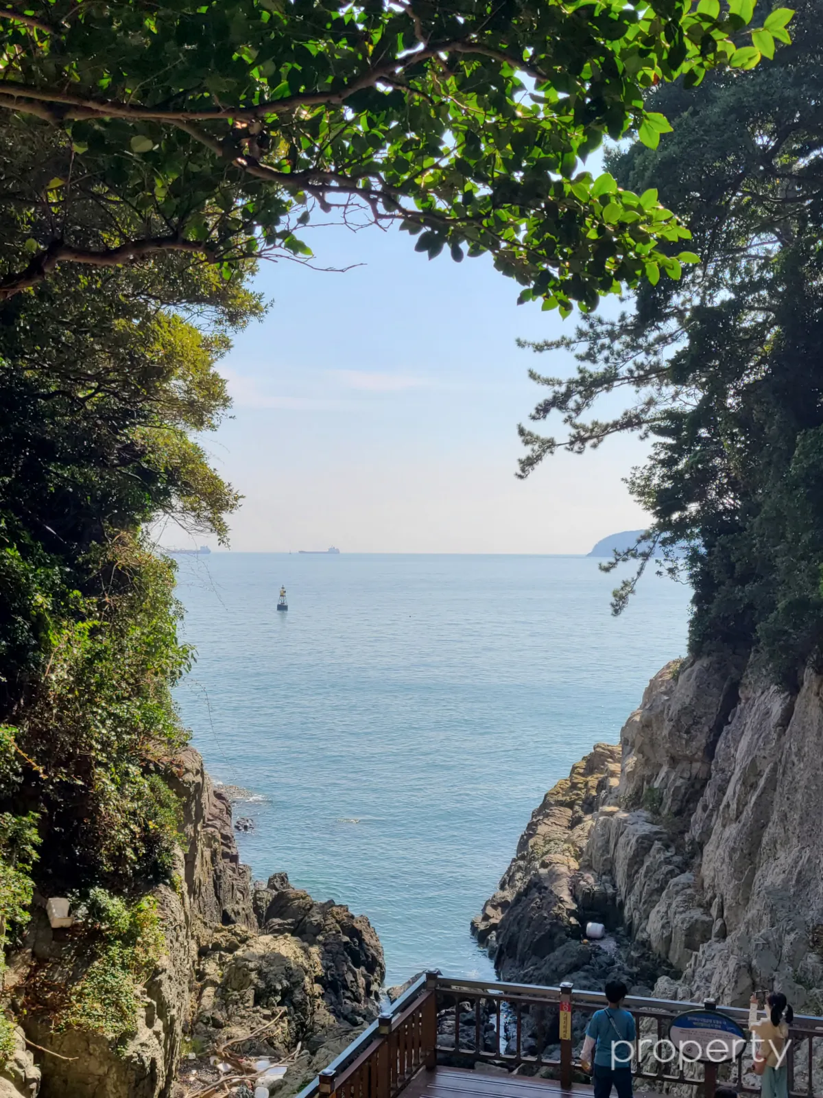 바람골-동그란-수풀사이로-보이는-바다-나무데크에-서있는-아이두명