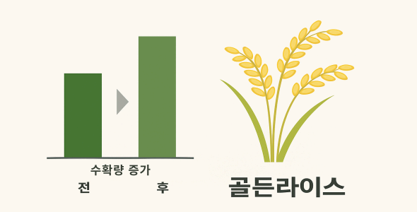 GMO 작물의 실제 효과 – 수확량과 환경 영향