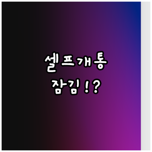 셀프개통 본인인증 잠김 해제와 오류 ..