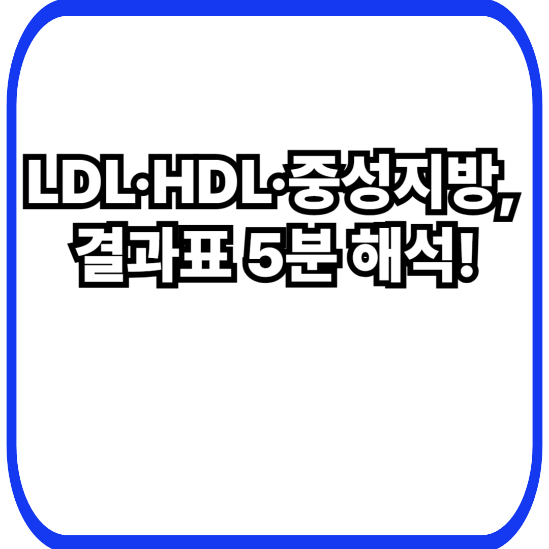 콜레스테롤/중성지방 수치 읽는 법(초보용): LDL&middot;HDL&middot;TG 결과표 한 번에 이해하기