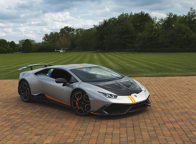 기후동행카드비교