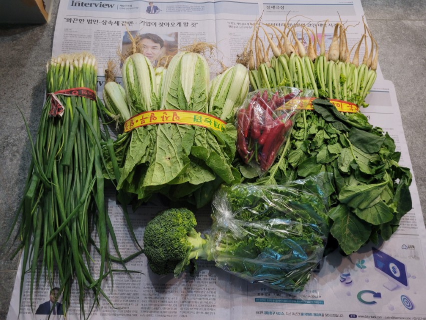 구리 시장에서 구매한 생열무 상태 사진