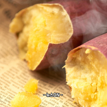 수능 전날 저녁식사