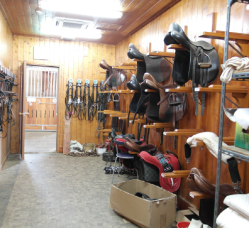 상주 국제 승마장3