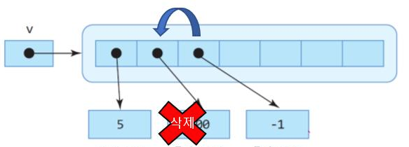 Vector 삭제