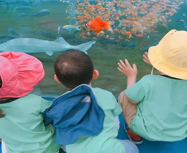 물고기나라