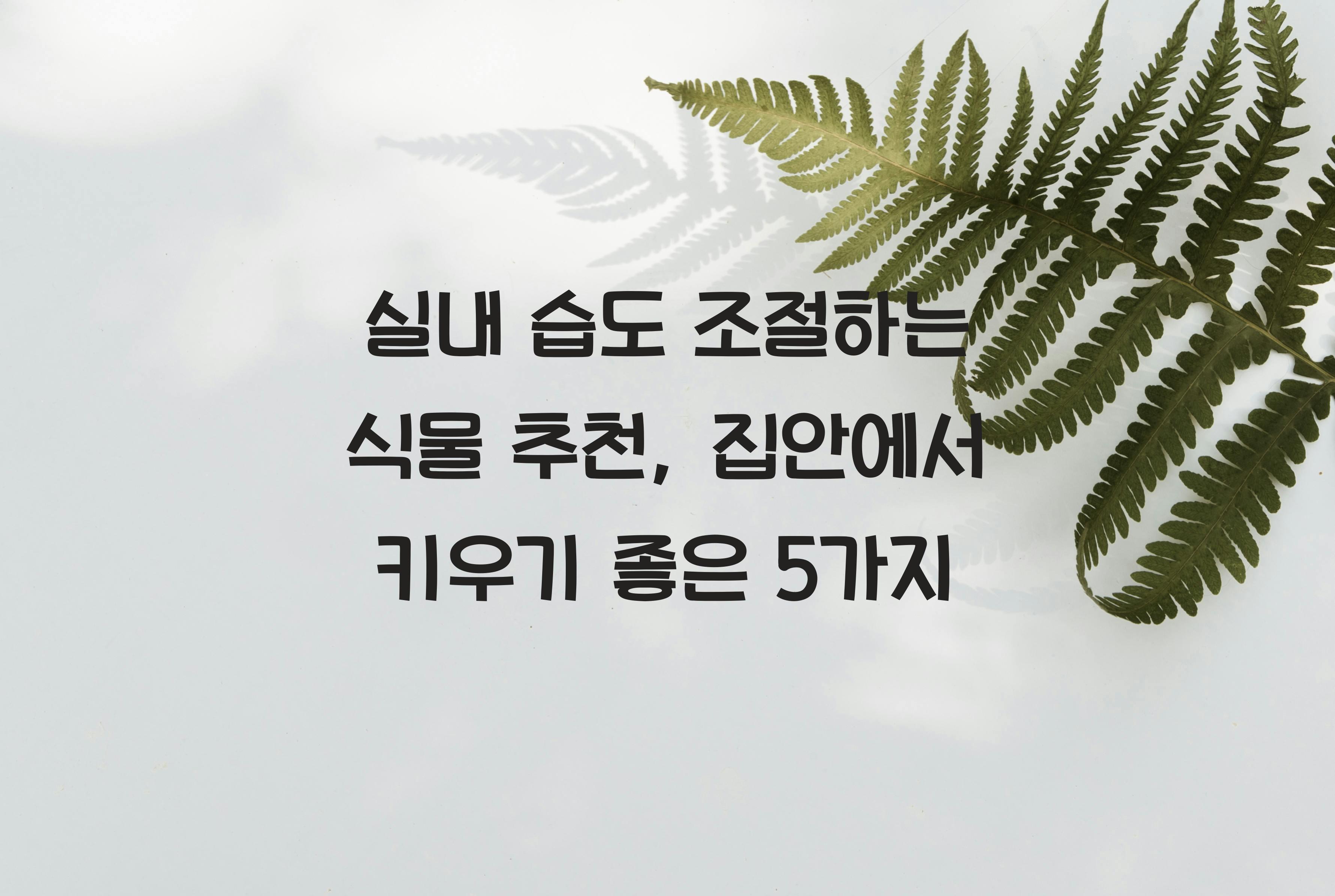 실내 습도 조절하는 식물 추천