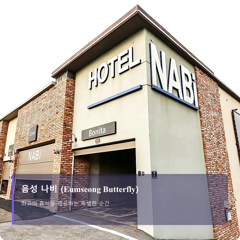 음성 나비 (Eumseong Butterfly)_4