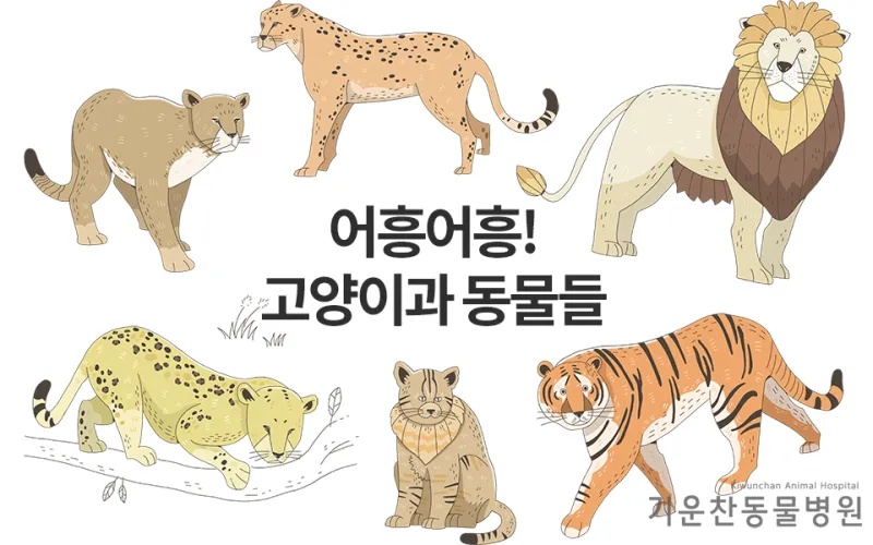 &amp;quot;고양이과