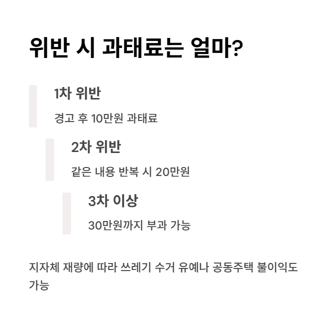 위반 시 과태료, 얼마나 부과될까?