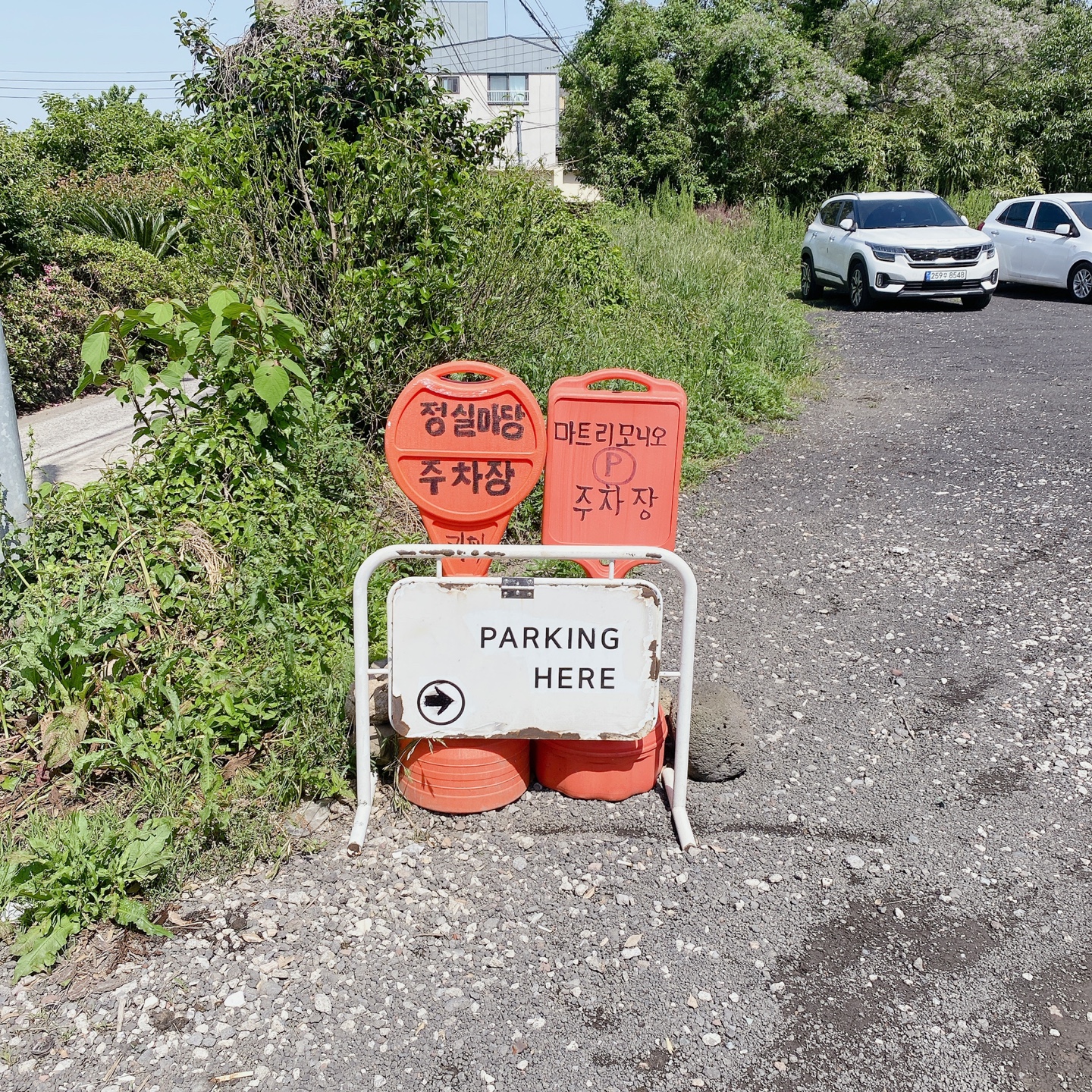 제주 정실마을 민오름 브런치 카페 마트리모니오 matrimonio