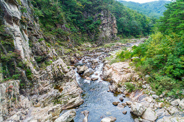 2025 여름 시원하고 조용한 국내 여행지 TOP5｜북적이지 않아 더 좋은 피서지 추천