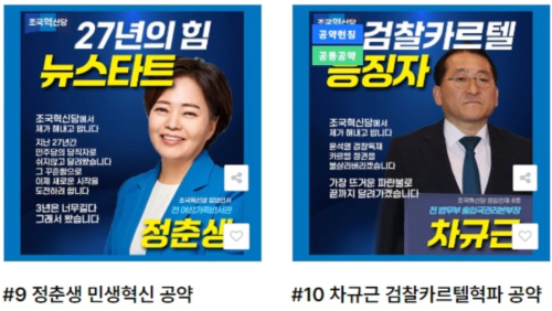 비례대표 후보공약