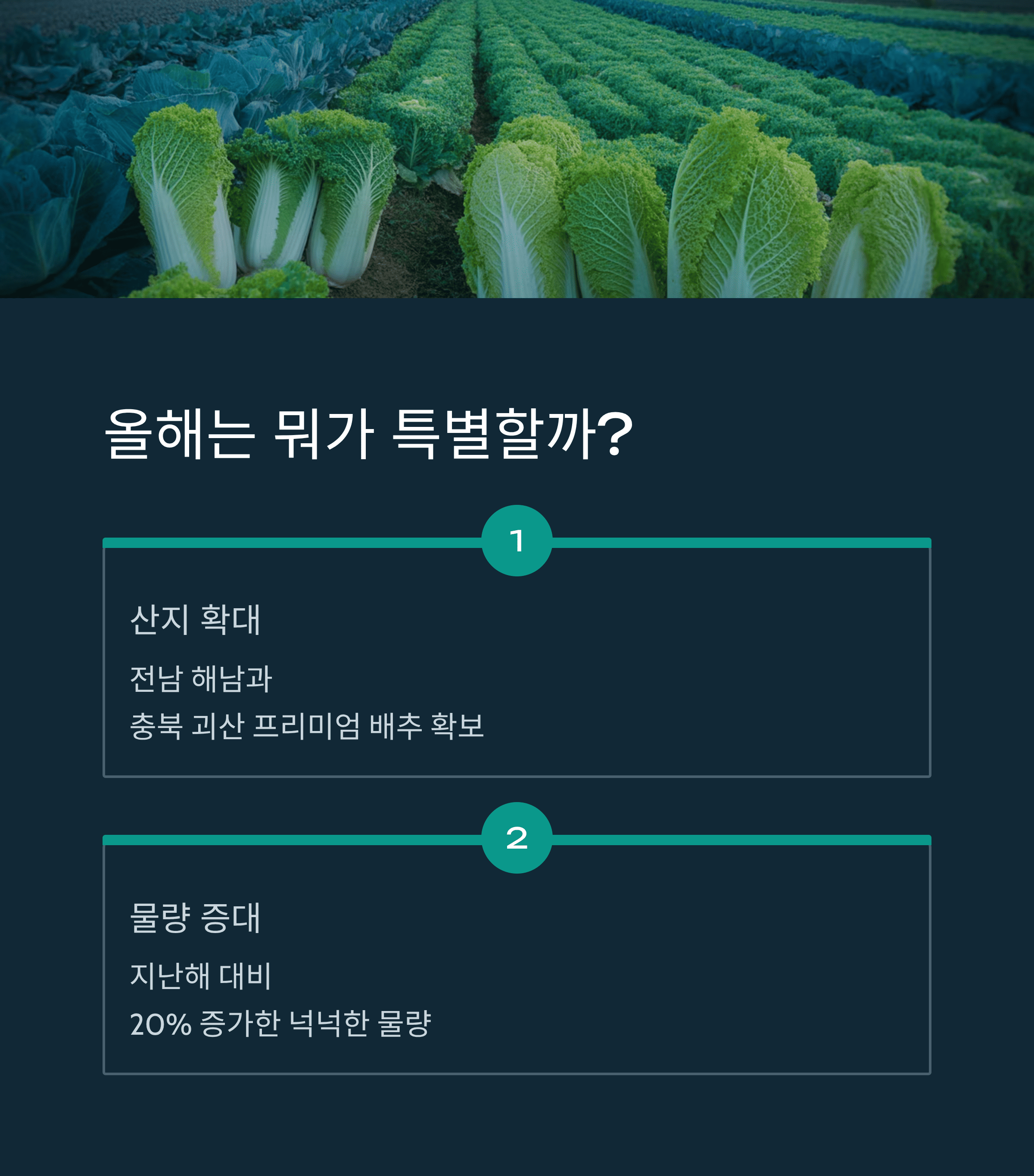 저렴한 절임 배추 사전 예약 꿀팁