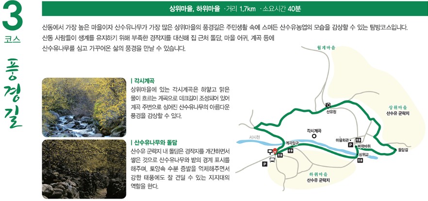 구례 산수유 길 코스