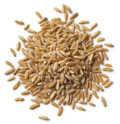 고대 곡물 3대장 차이점 비교 카무트 효능 및 부작용, 먹는법, 맛, 효소