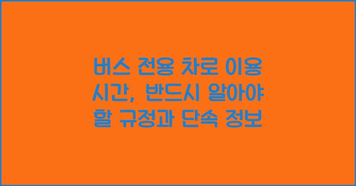 버스 전용 차로 이용 시간