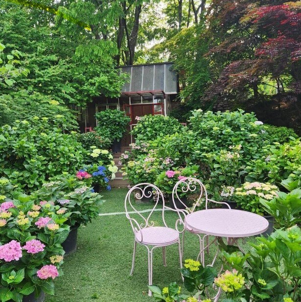 율봄식물원-토마토시즌